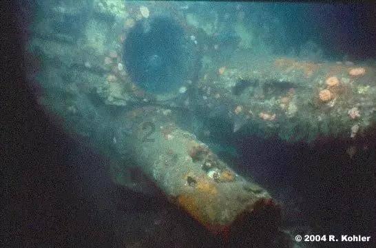 3月,青鸟寄情,前任回首,旧情依旧,3个生肖再爱一次